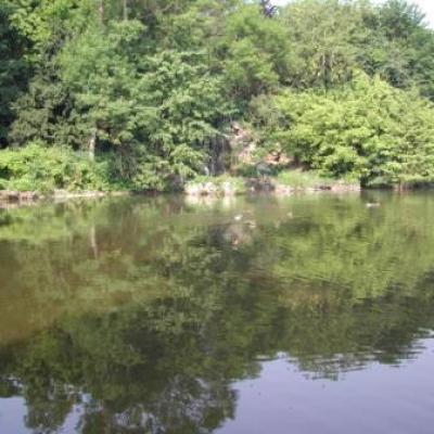 Bassin